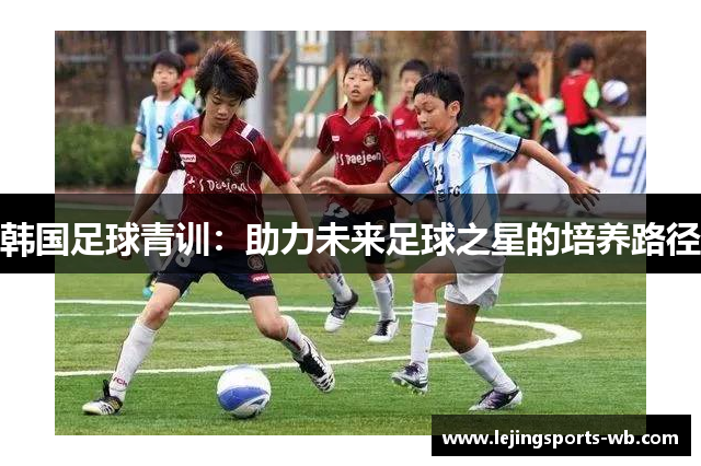 韩国足球青训：助力未来足球之星的培养路径